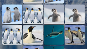Jeu des pingouins