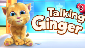 Talking Ginger